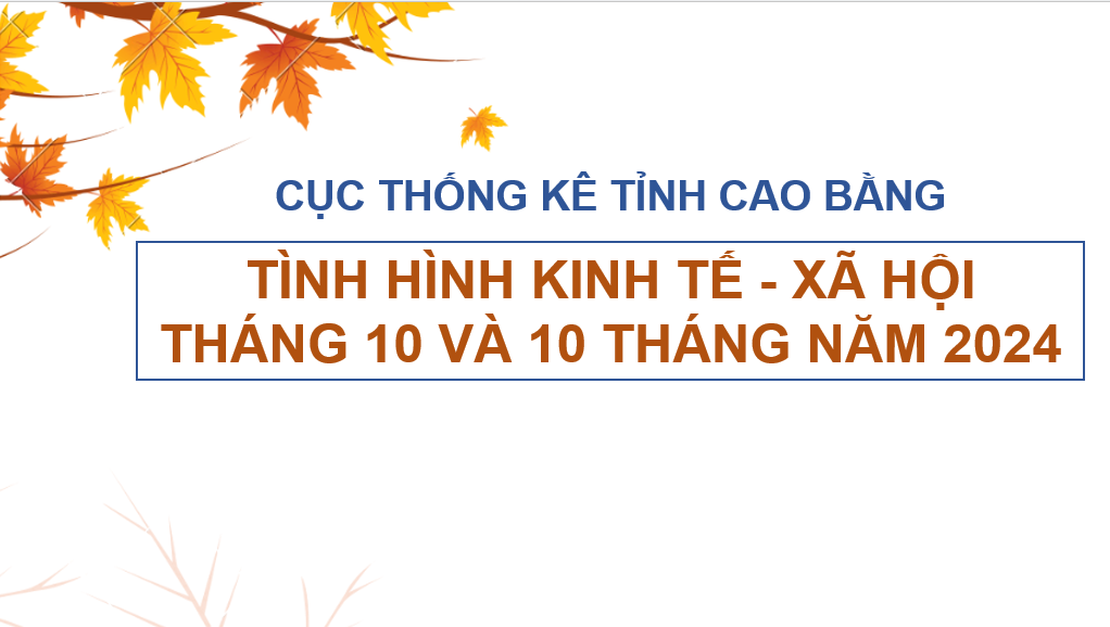 Infographics kinh tế - xã hội tháng 10 và 10 tháng năm 2024